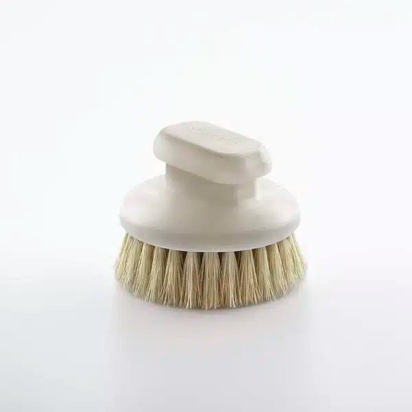 Body Dry Brush